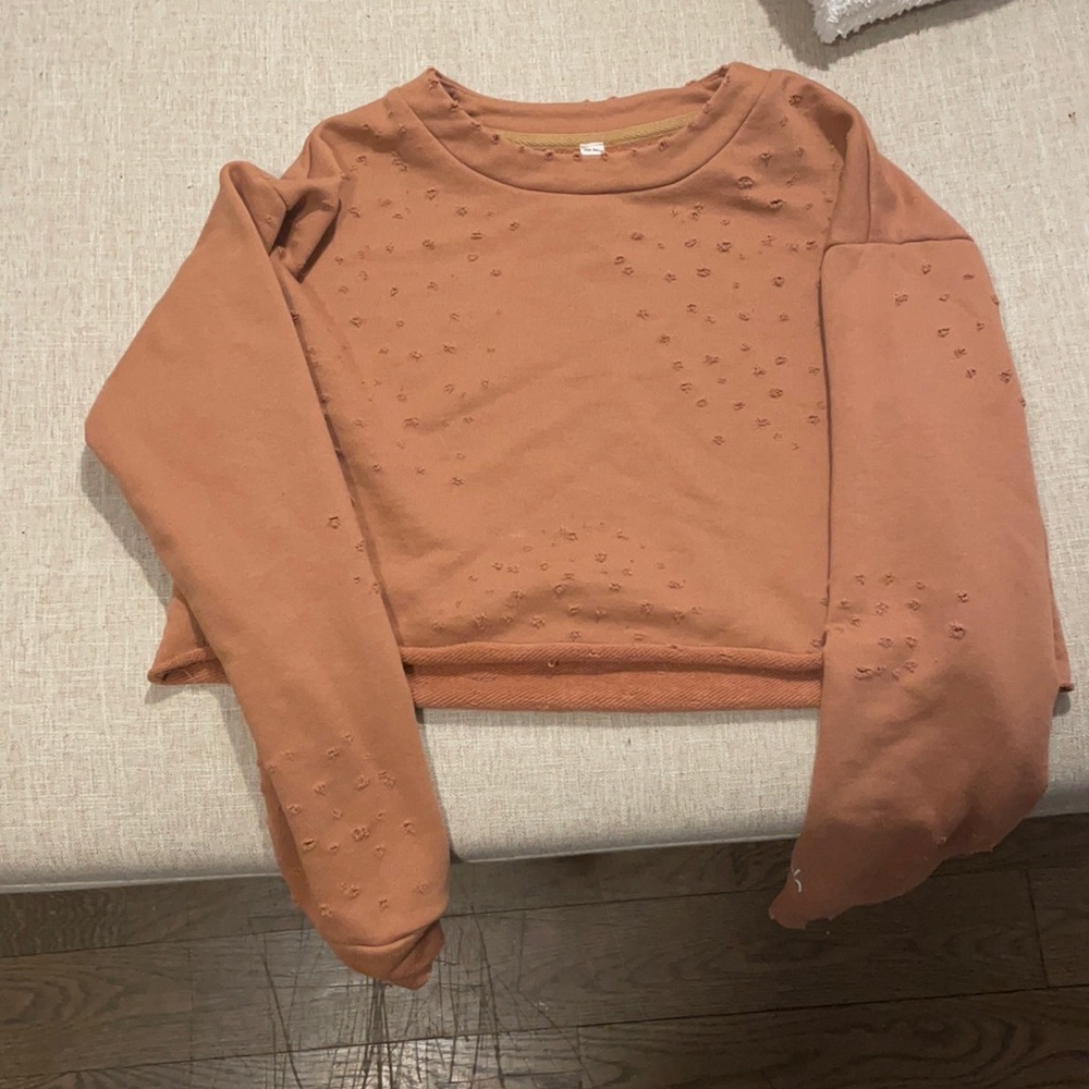 ALO Yoga Cropped Sweatshirt